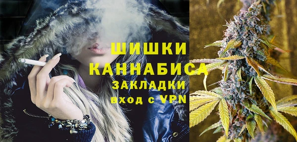прущие грибы Няндома