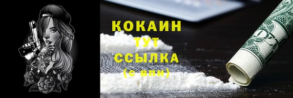 прущие грибы Няндома