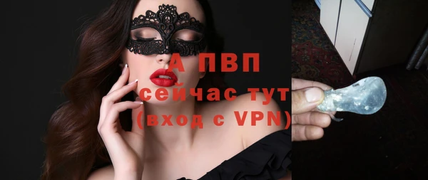 прущие грибы Няндома