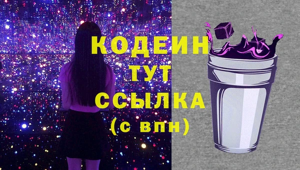 гашик Нягань