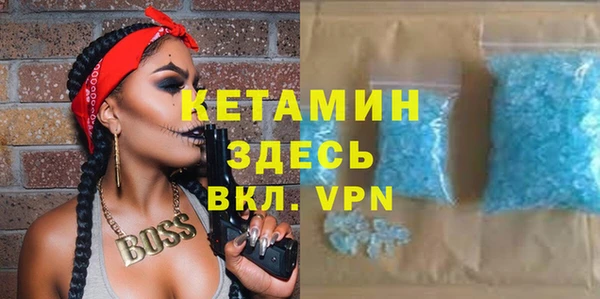 прущие грибы Няндома