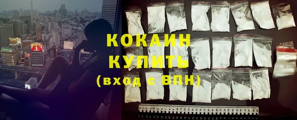 прущие грибы Няндома