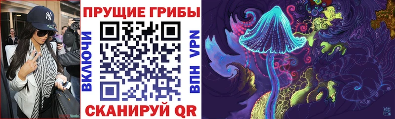 где найти   Зея  Псилоцибиновые грибы мухоморы 